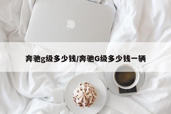奔驰g级多少钱/奔驰G级多少钱一辆