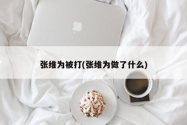 张维为被打(张维为做了什么)