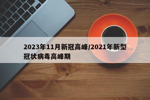 2023年11月新冠高峰/2021年新型冠状病毒高峰期