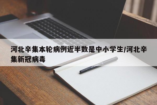 河北辛集本轮病例近半数是中小学生/河北辛集新冠病毒